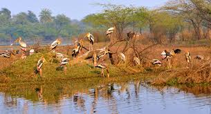 rajasthan Wildlife Tour Packages | call 9899567825 Avail 50% Off